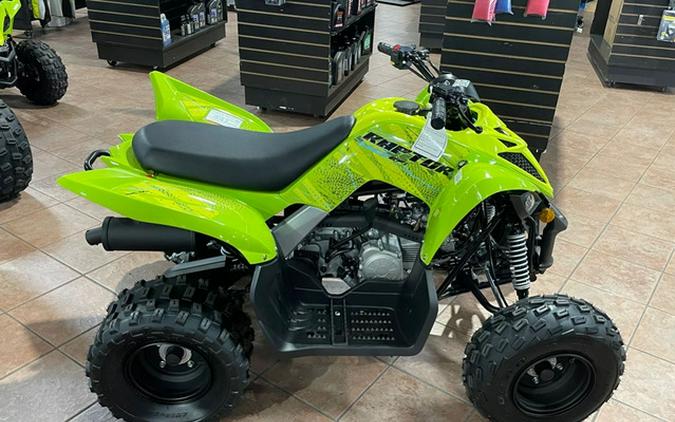 2026 Yamaha Raptor 110