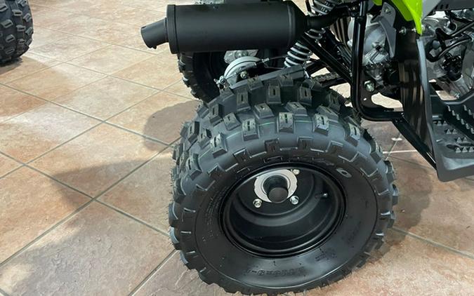 2026 Yamaha Raptor 110