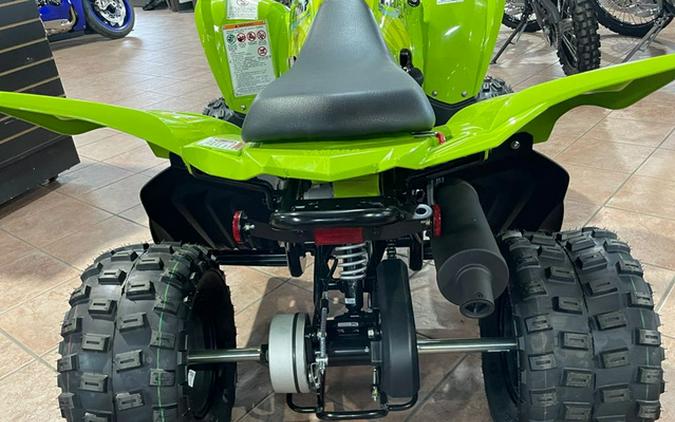 2026 Yamaha Raptor 110