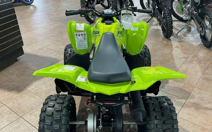2026 Yamaha Raptor 110
