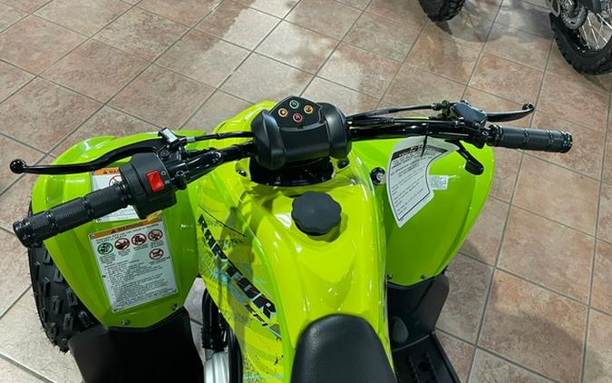 2026 Yamaha Raptor 110