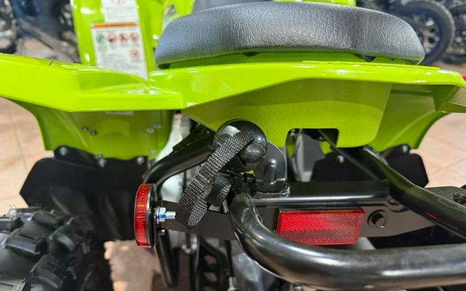 2026 Yamaha YFZ 50