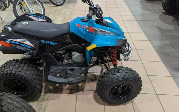 New 2024 CAN-AM RENEGADE 110 EFI