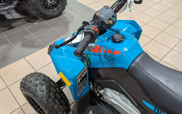 New 2024 CAN-AM RENEGADE 110 EFI