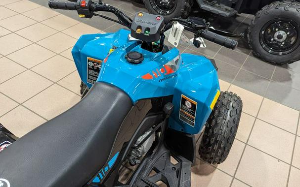 New 2024 CAN-AM RENEGADE 110 EFI