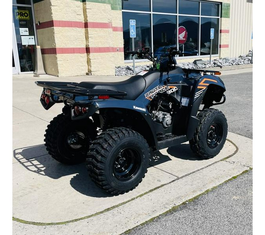 2024 Kawasaki Brute Force® 300