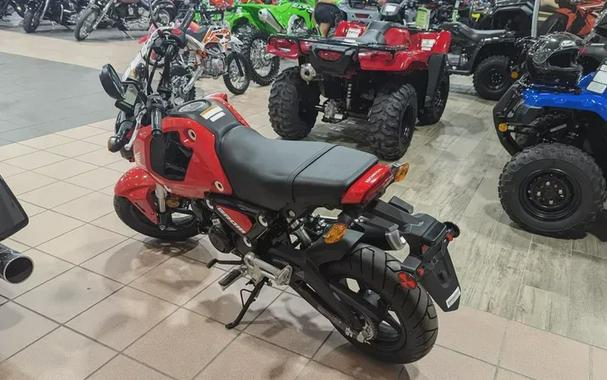 New 2023 HONDA GROM BASE