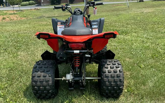 2026 Can-Am DS 250