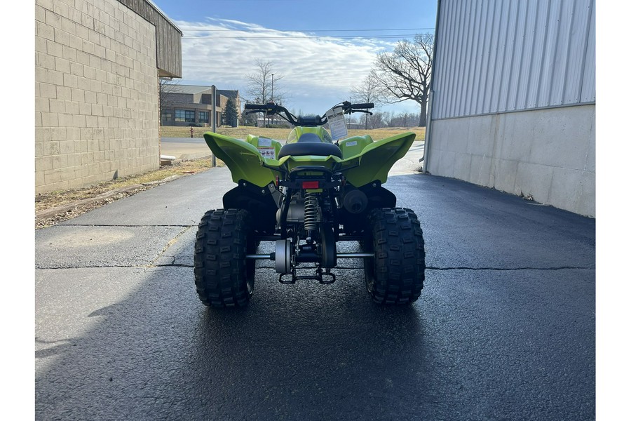 2026 Yamaha Raptor 110