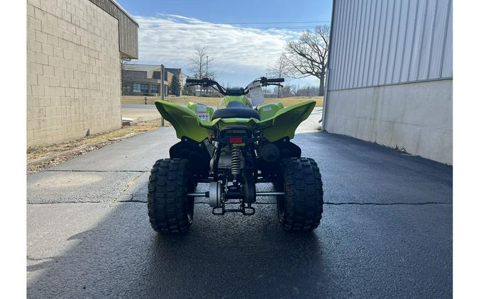 2026 Yamaha Raptor 110