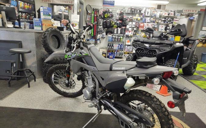 2024 Kawasaki KLX 300 Dual Sport
