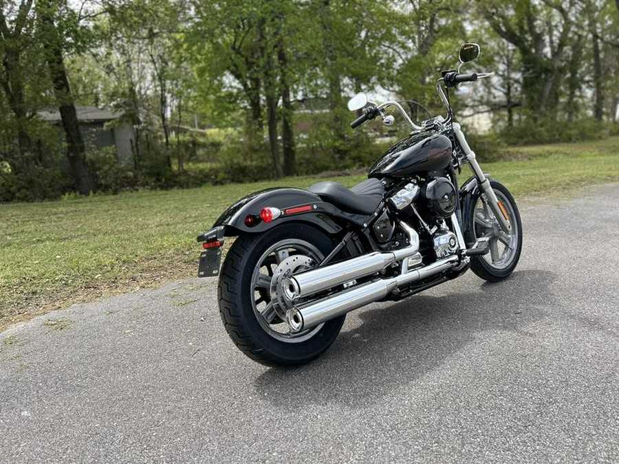 2024 Harley-Davidson® FXST - Softail® Standard