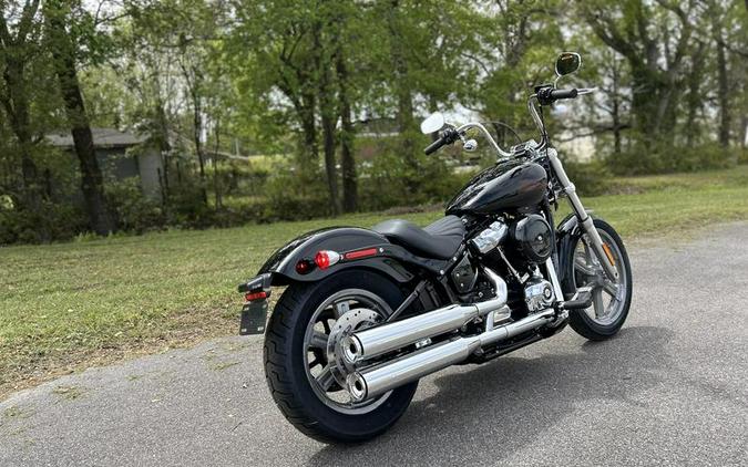 2024 Harley-Davidson® FXST - Softail® Standard