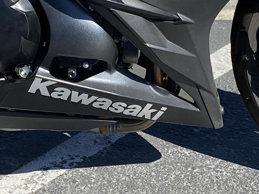 2019 Kawasaki Ninja® 1000 ABS