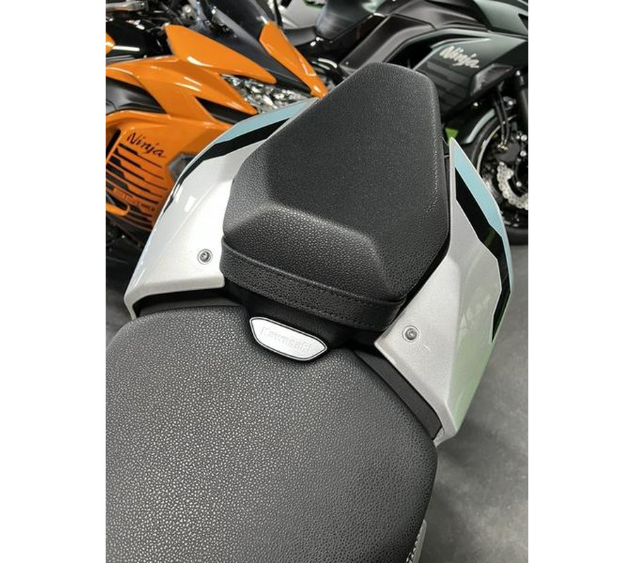 2025 Kawasaki Z900 ABS Galaxy Silver/Metallic Spark Black