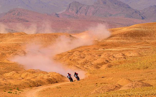 2024 Ducati DesertX 937 Rally