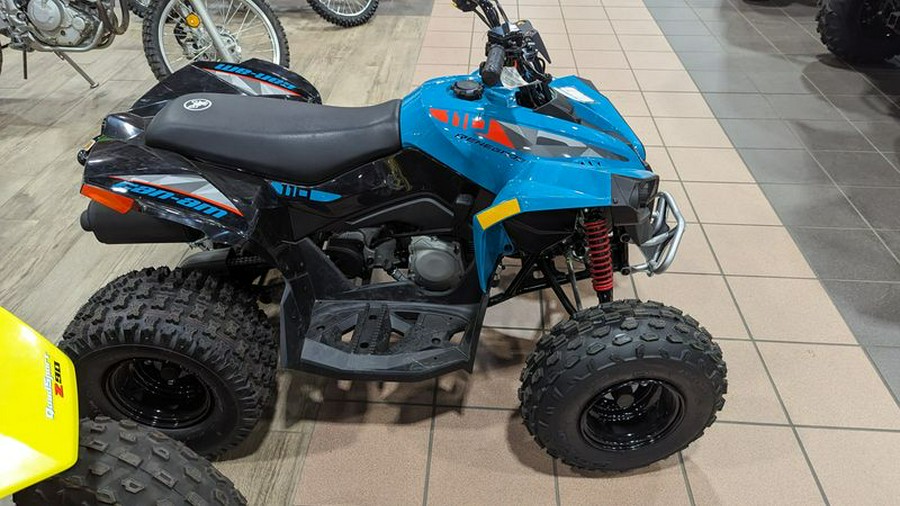 New 2024 CAN-AM RENEGADE 110 EFI