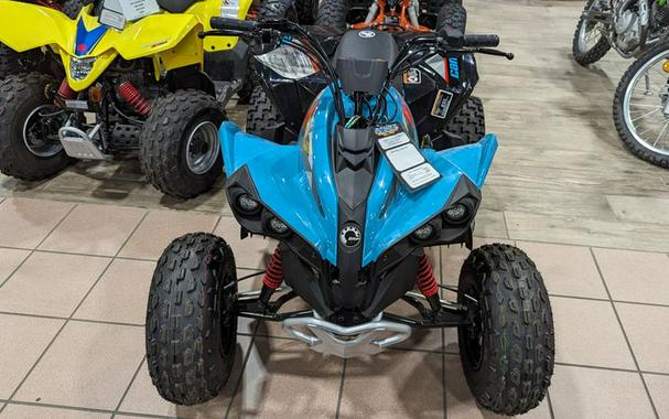 New 2024 CAN-AM RENEGADE 110 EFI