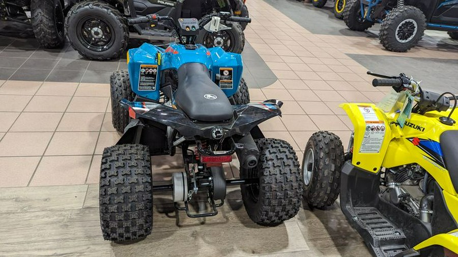 New 2024 CAN-AM RENEGADE 110 EFI