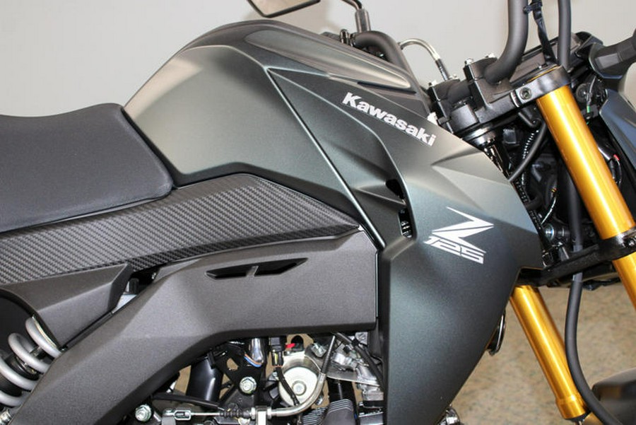 2025 Kawasaki Z125 PRO