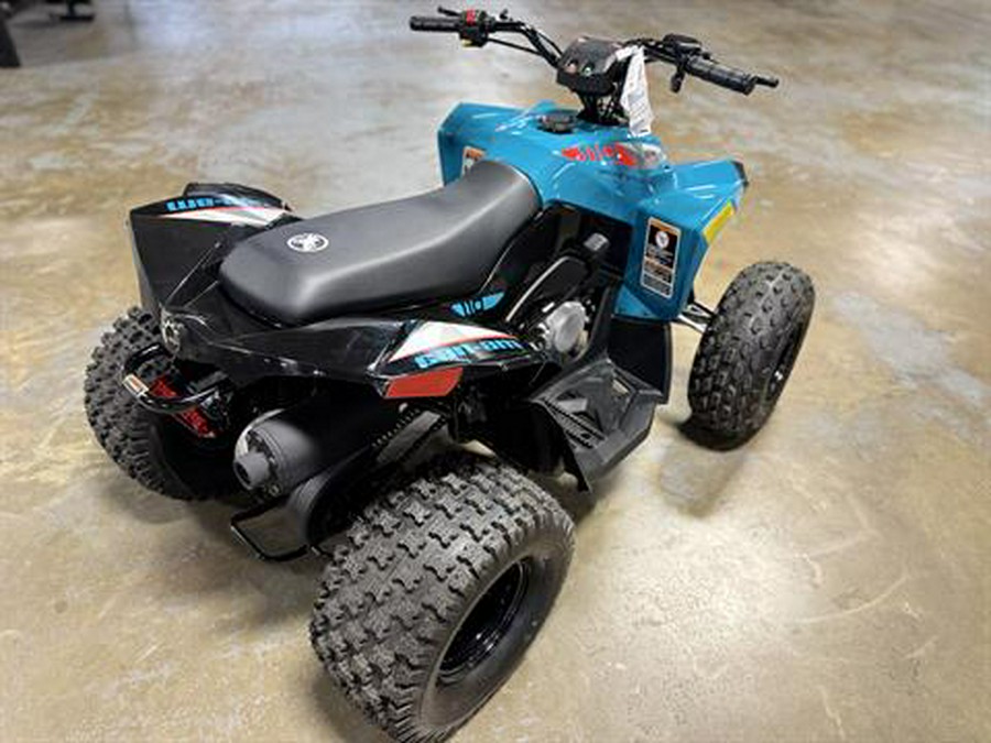 2026 Can-Am Renegade 110 EFI