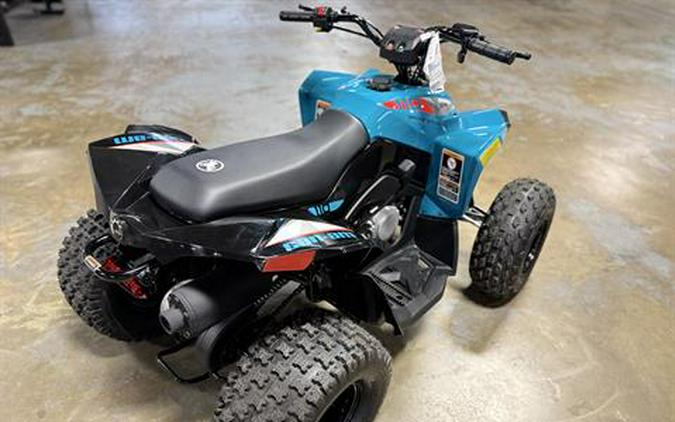 2026 Can-Am Renegade 110 EFI