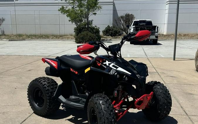 2024 Can-Am Renegade X xc 110 EFI