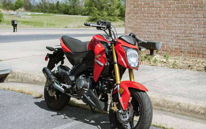 2023 Kawasaki Z125 PRO