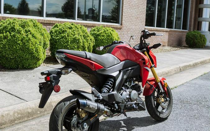 2023 Kawasaki Z125 PRO