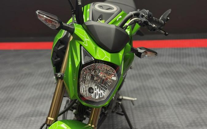 2017 Kawasaki Z125 PRO