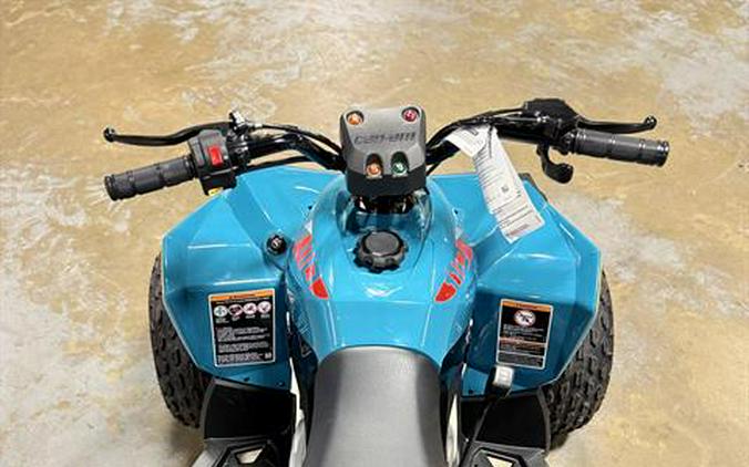 2026 Can-Am Renegade 110 EFI