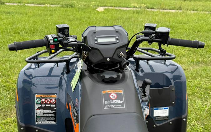 2026 Kawasaki Brute Force 300