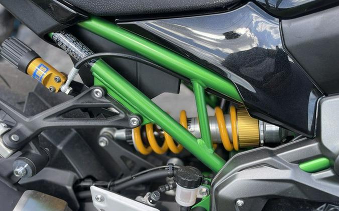 2024 Kawasaki Z900 SE
