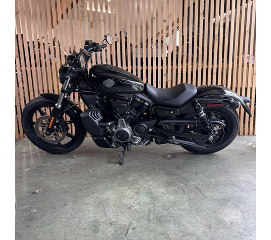2024 Harley-Davidson Sportster Nightster