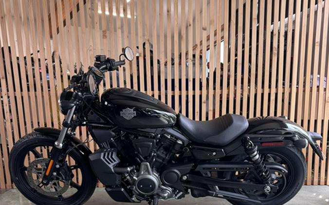 2024 Harley-Davidson Sportster Nightster