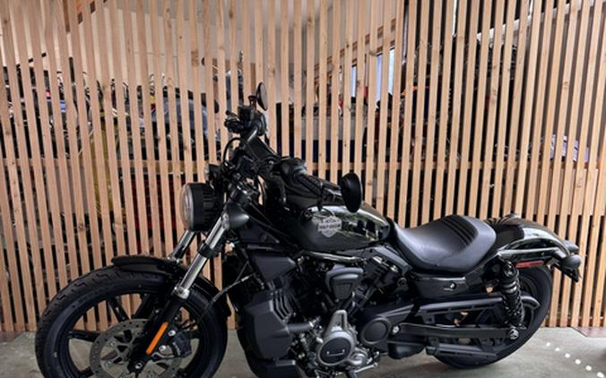 2024 Harley-Davidson Sportster Nightster