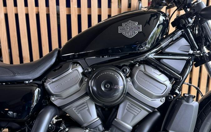 2024 Harley-Davidson Sportster Nightster