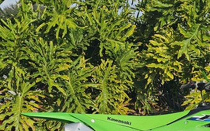 2026 Kawasaki KX 450