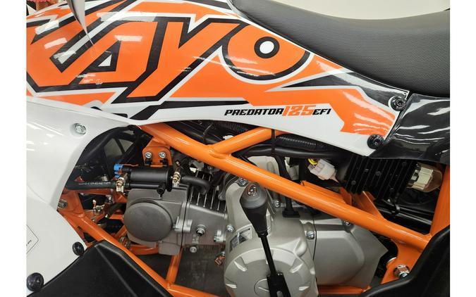 2025 Kayo Predator 125 EFI