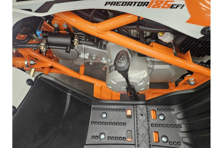 2025 Kayo Predator 125 EFI