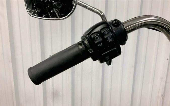 2018 Harley-Davidson Softail FXLR - Low Rider