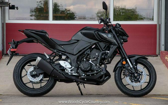 2024 Yamaha MT 03