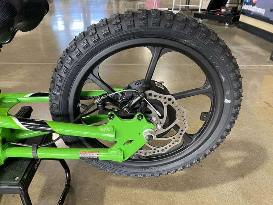 2023 Kawasaki Elektrode™