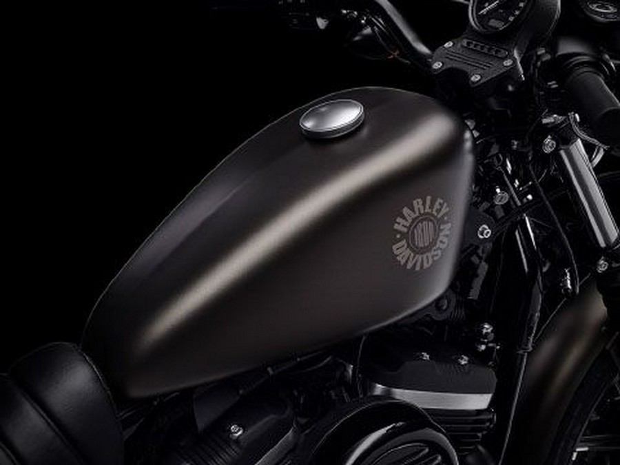 2021 Harley-Davidson Iron 883™