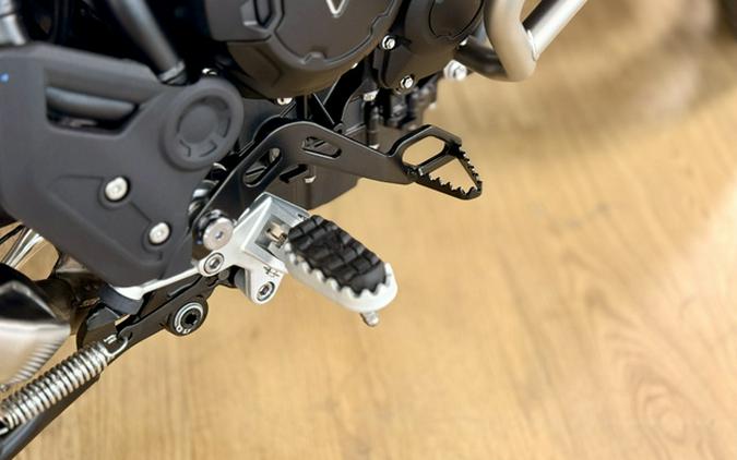 2026 Triumph Tiger 900 GT Pro Alpine Edition