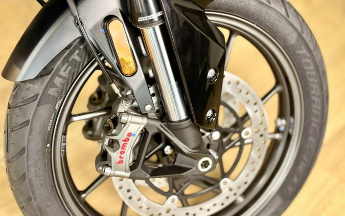 2026 Triumph Tiger 900 GT Pro Alpine Edition