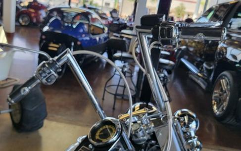 2015 Harley-Davidson FLSTN - Softail Deluxe