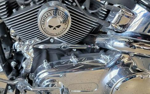 2015 Harley-Davidson FLSTN - Softail Deluxe