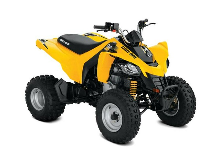 2019 Can-Am® DS 250®