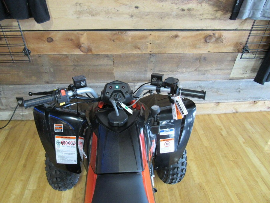 2026 Can-Am® DS 250